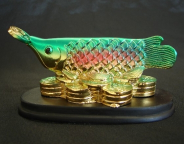 Arowana Fish with Coins