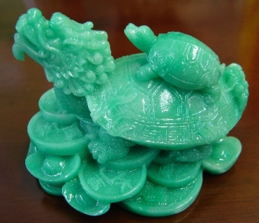 Green Dragon Turtles
