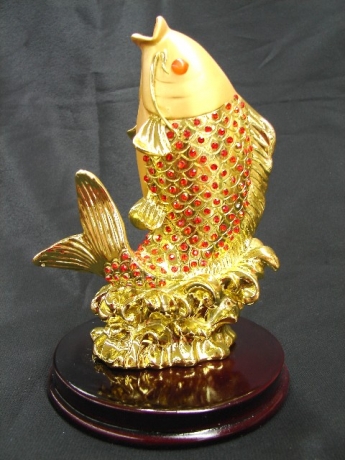 Feng Shui Carps