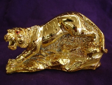 Golden Crawling Tiger