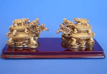 Chinese Dragon Tortoises