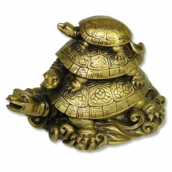 Three Turtles 