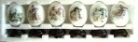 Decorated Eggs