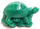 Green Turtles