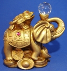 Golden Money Frog on Elephant