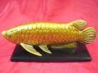 Arrowana Fishes