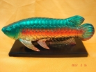 Arrowana Fishes