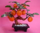 Jade Tangerine Plant