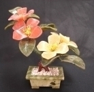 Jade Peony Plants