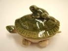 Money Frog on Turtle