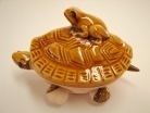 Money Toad on Turtle