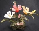 Jade Peony Plants