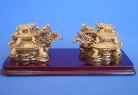 Chinese Dragon Tortoises