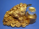 Money Frog