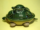 Green Turtle with 5 Little Turtles on the Top