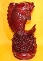 Feng Shui Fishes