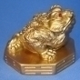 Money Frogs