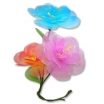 Decorative Lily Flower