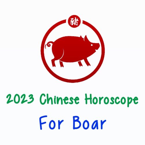 2023Chinese-Horoscope-Boar