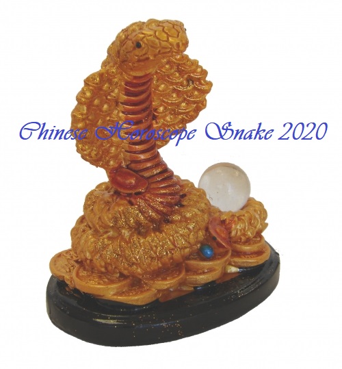 Year Of The Snake 2020 Horoscope  Feng Shui Forecast