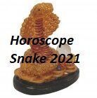 Horoscope Snake 2021
