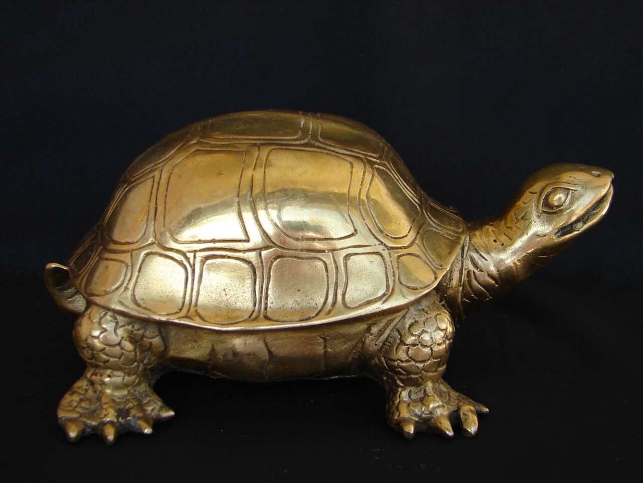 Big Feng Shui Brass Metal Turtle Statue