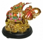 Colorful Money Frog on Elephant