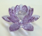 Purple Crystal Lotus