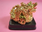 Feng Shui Dragons