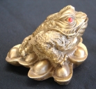 Brass Money Frog