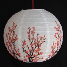 2 of Chinese White Paper Lanterns with Plum Pictures