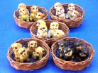 Puppies in Bamboo Basket