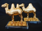 Pair of Golden Camels