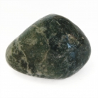 Tree Agate Tumbled Polished Natural Stone