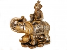 Monkey on Elephant