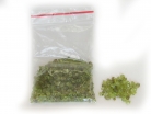 Small Green Peridot Tumbled Chip Crushed Stones