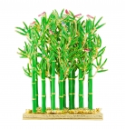 Bamboo Forest of Prosperity Tree