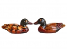 Mandarin Ducks