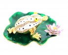 Lucky Money Frog on Waterlily Leaf
