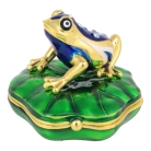 Money Frog On Lilypad
