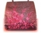 Chinese Embroidery Hand Bag