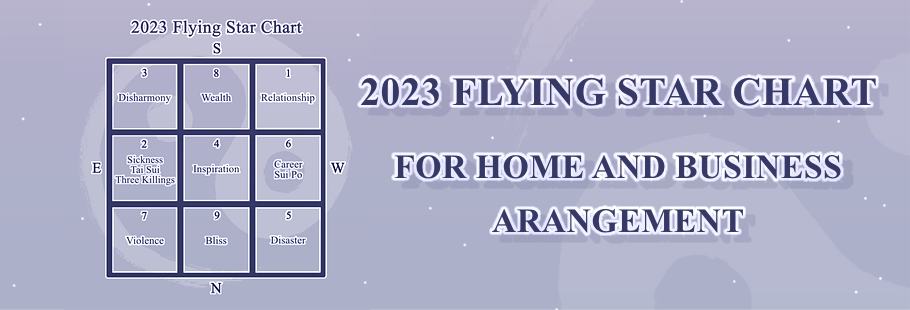 2023 Flying Stars